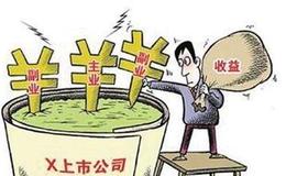 投资之乐：在市场的光与影中探秘