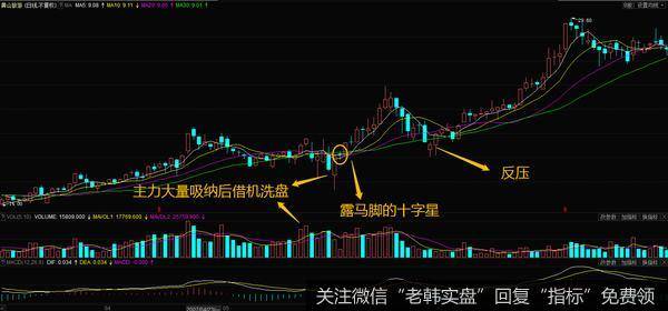 跌势中的均线分析强势股案例