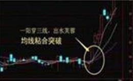 [巴菲特看股市]巴菲特晚宴众多神秘大佬出席