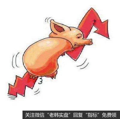 猪肉供给状况将持续改善