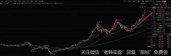 新哥股评