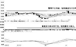 西藏城投(600773)总体、各阶段走势分析的论述