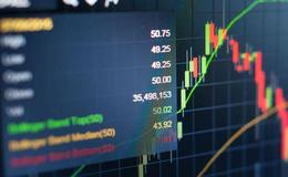 居锦斌最新股市评论：周四展望及操作策略（11.24）