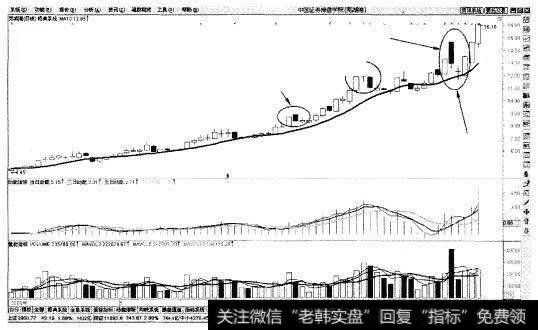 股价从上向下回落不破10日均线示意图