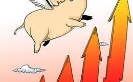 [叶檀股市分析]股权大时代 如何投资才能做时间的朋友？