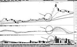 三线开花均线组合必涨么