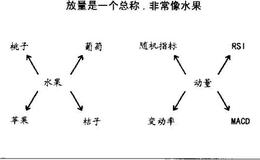 什么是动量测度价格运动的速度？