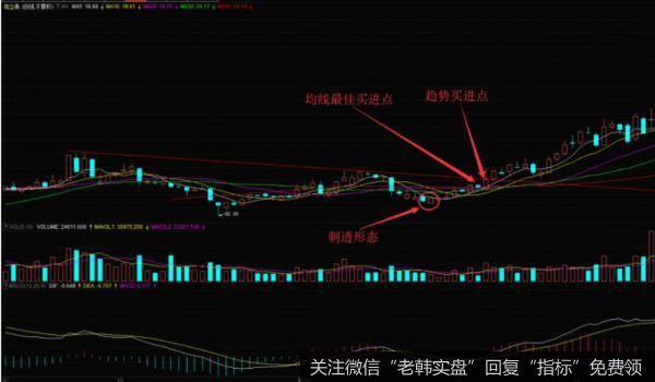 信立泰在2010年2月到3月的日K线走势图