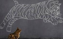 [李大霄最新股市评论]2021年A股有望走出“温柔牛”