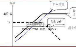 LEAP保护性看涨期权解析