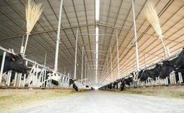 蒙牛2020年度原奶抽检100%合格，为国人提供高质营养