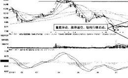 对美都控股-总体、各阶段走势分析的叙述 