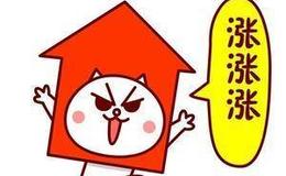 [巴菲特看股市]圈子不同不用强融 我有百岁股东站台