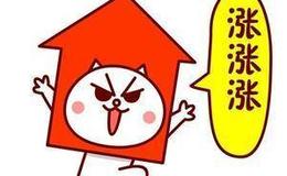 但斌：私募基金经理信心指数降至近一年新低 但斌依然坚定持有茅台