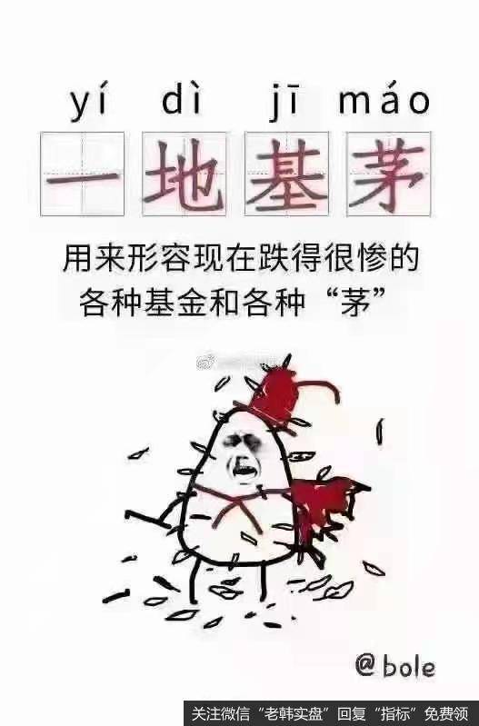 猎豹实盘：触底回升！这次是玩真的么