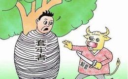 [巴菲特看股市]巴菲特的上市公司伯克希尔，为什么一直不分红？