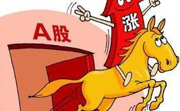 对基金小白还是老兵都是标配