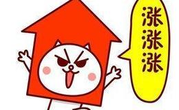 管清友：股市暴跌 这一次不一样？