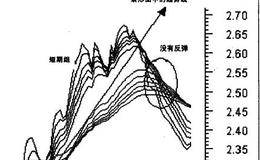 追求瞬间获利的价格泡沫分析及解读