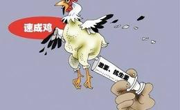 [巴菲特股市分析]毫不巴菲特的“女版巴菲特”