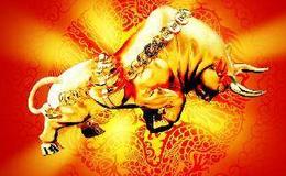 老张投研：大事不妙！