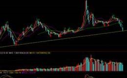 丁大卫最新股市评论：下周继续观察20日线的得失