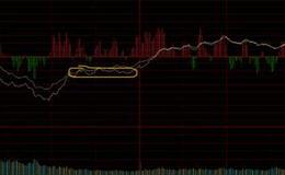 游资不朽哥：全军出击，你抄底了吗？