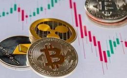 管清友：碳中和的机会刚刚开始