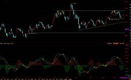 游资不朽哥：今天再次分析一家好公司！