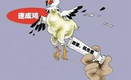 严为民：最佳布局良机！