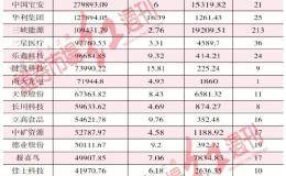 半导体龙头富满电子成公募新增50大重仓股首位 顶流丘栋荣、冯明远均有配置