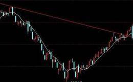 动物的捕食艺术与交易技巧概述