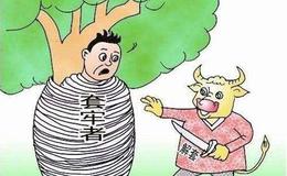 冯矿伟：题材维持活跃