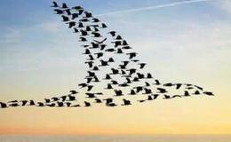 任泽平股市最新相关消息：什么是大势？