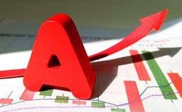 巴菲特:为什么国内投资者不应学习巴菲特？