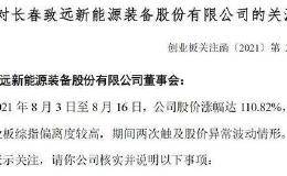 只要“涉氢” 业绩大幅下滑股价依旧能暴涨？深交所关注了！