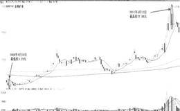 变身矿业股  实例