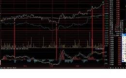 水皮：数字化是家居家装产业的未来