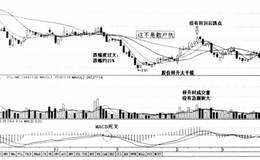 暴跌形态一巧用成交量逃避暴跌