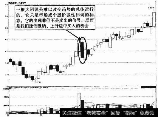凤凰光学上升途中周K线大阴线示意图