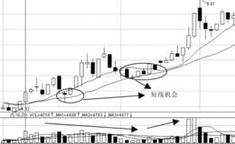 强势股中的短线机会