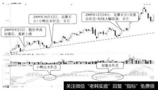 <a href='/cpsbsj/182462.html'>金枫酒业</a>日K线