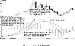 十一点操作建议