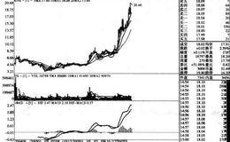 上涨中期两次回踩20周均线底部抬高的股票的案例分析