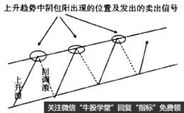 阴包阳定式