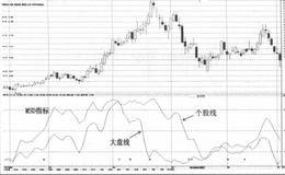 MSD指标的使用法则和实战规则