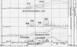 XDQD+MACD实战案例精解