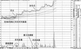 案例分析精要