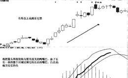 巧妙运用MACD指标老鸭头形态获取暴利