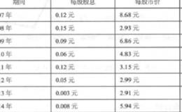 财务和股息实战案例分析